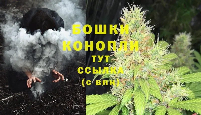 Бошки марихуана Ganja  Нахабино 